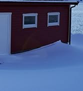 ECO-WORTHY 200 Watt Bifacial Solar Panel 2pcs 100 Watt Monocrystalline Solar Panel Module Off Gri...