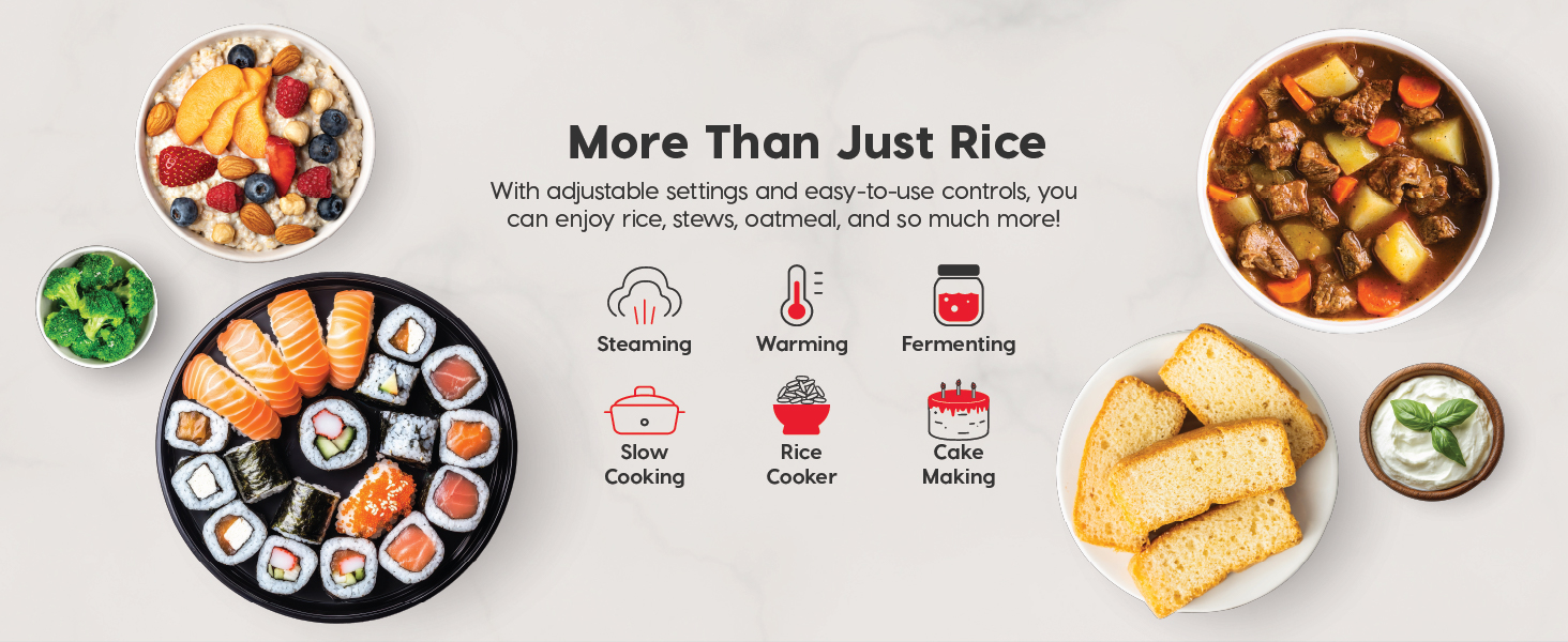 IRIS USA Micom Japanese Rice Cooker, 3-Cup Uncooked/6-Cup Cooked, Fuzzy Logic Kitchen Appliance