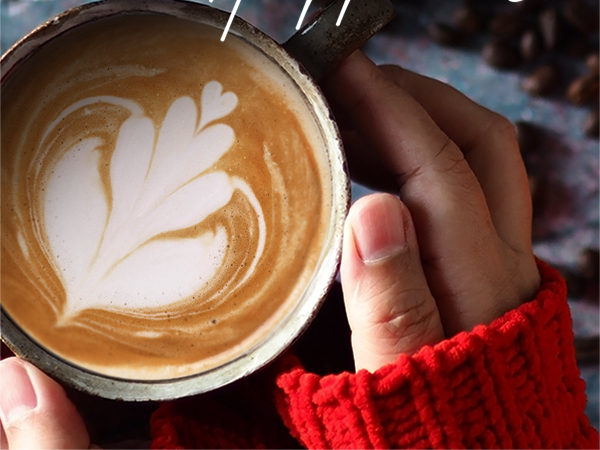 milk frother with stand