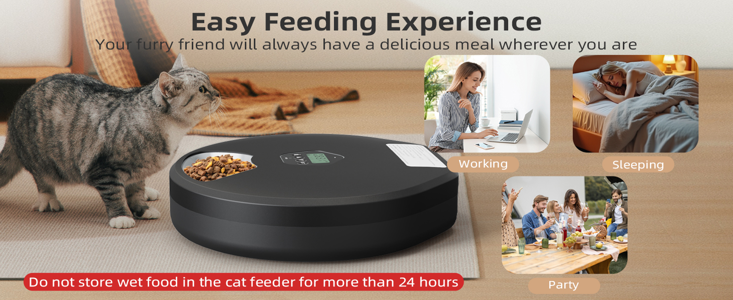 Automatic Pet Feeder