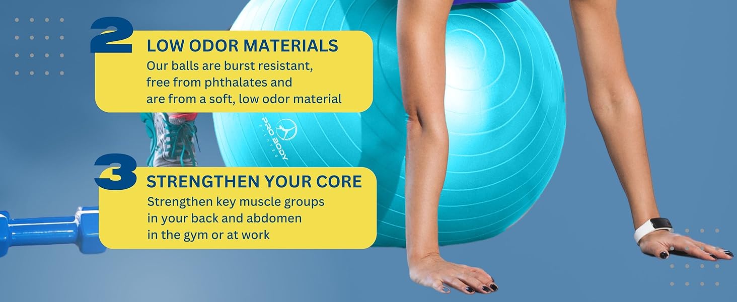 physical therapy ball exercise ball pump large exercise ball yoga ball office chair balance ball