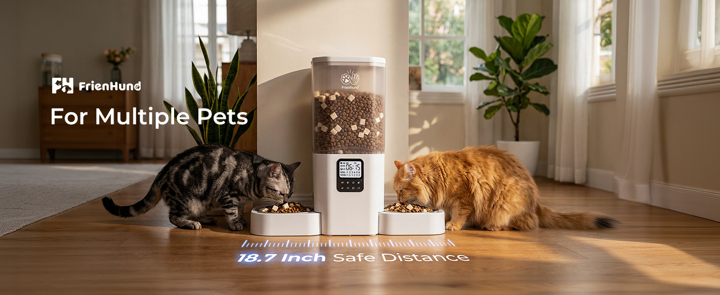 automatic cat feeder