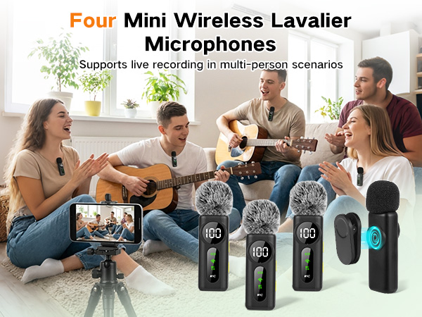 mini mic