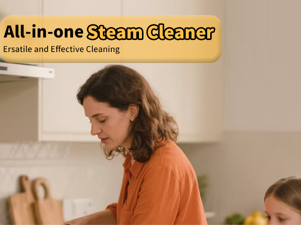 grout steamer bed bug steamer professional steam cleaner steam gun steam cleaner for car detailing