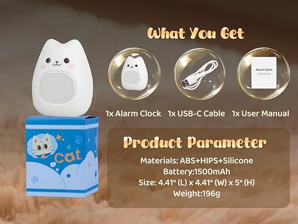 Alarm Clock with Night Light