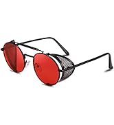 FEISEDY Steam Punk Sunglasses for Men Women Side Shield Round Steampunk Vintage Glasses Shades B2518
