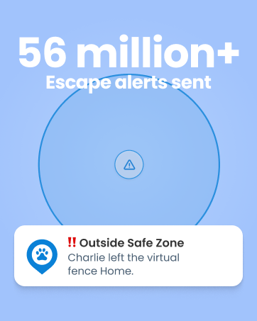Escape Alerts