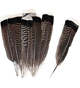 Daieeparty Natural Wild Turkey Tails Feathers for Crafts DIY Home Wedding Party Halloween Costume...