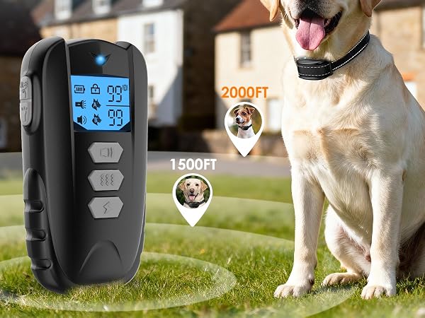 dog training collar with remote 2