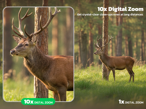 night vision goggles