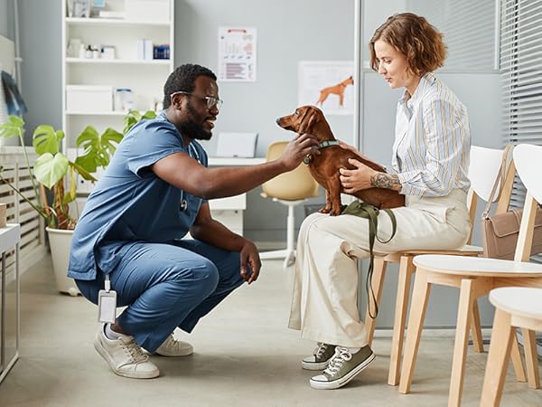 veterinarian, blood glucose monitor, pet blood glucose meter, ipet pro, dog, cat