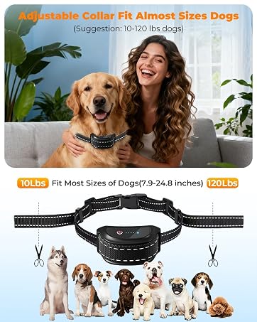 shock collar for dogs 6