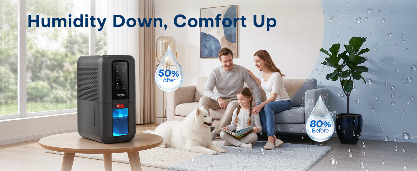 Dehumidifier