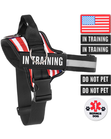 harness