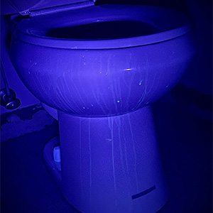 Bathroom Stain Detection