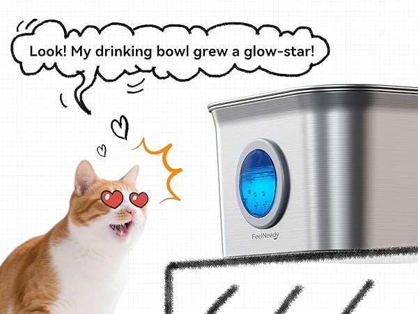 cat water fountain with water window