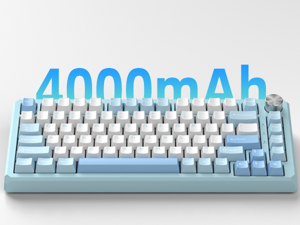 Large Capacity Battery 