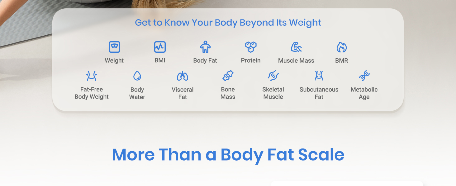 13 full body metrics