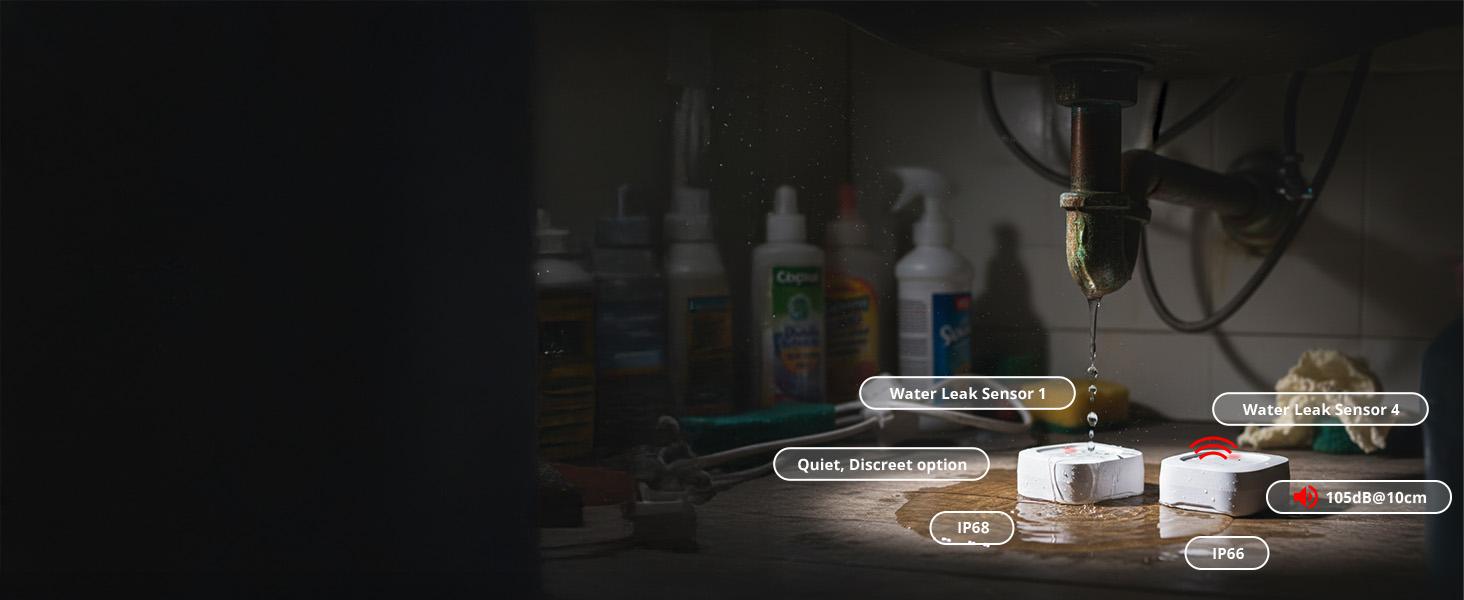 Choose the Right Leak Sensor for You