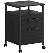 IRONCK Filing Cabinet, Industrial File Cabinet 2 Drawers on Wheels, Printer Stand with Shelf, Han...