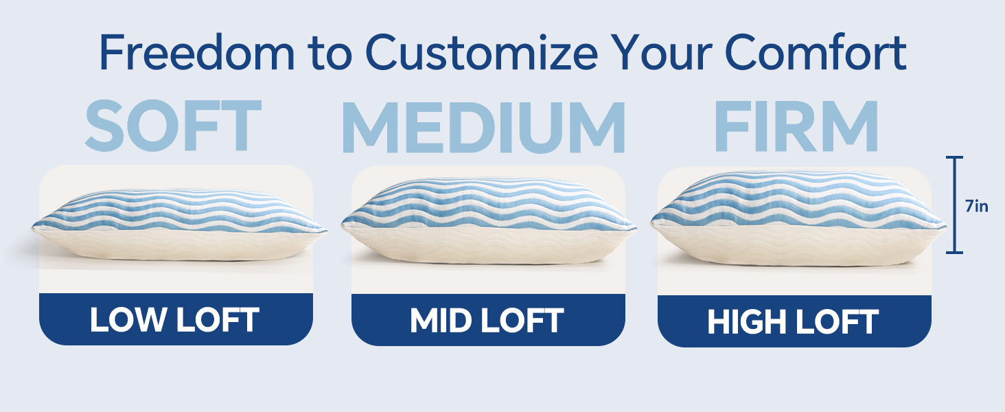 queen size pillows set of 2