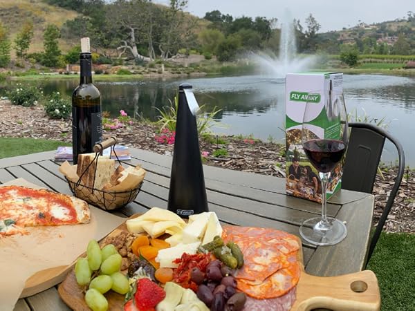 Fly Away fan working on an outdoor dinner table to keep flies away without chemicals.