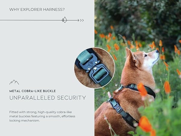 Metal cobra-like buckle: Unparalleled Security