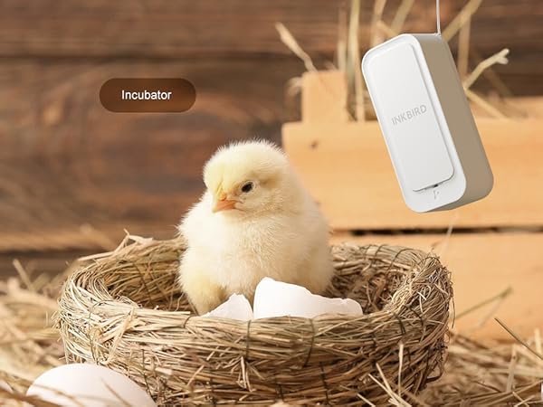 temperature and humidity monitor