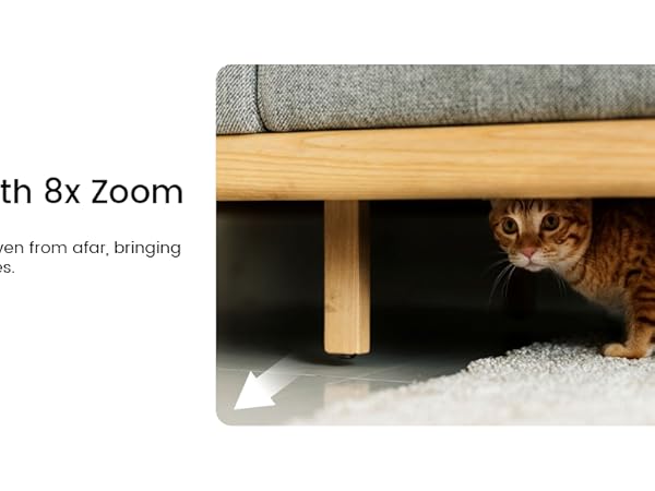 cat camera with phone app, puppy cameras with iphone app, baby monitor with app