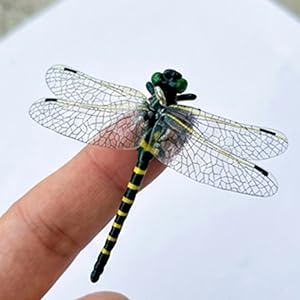 Lifelike Dragonfly Clip