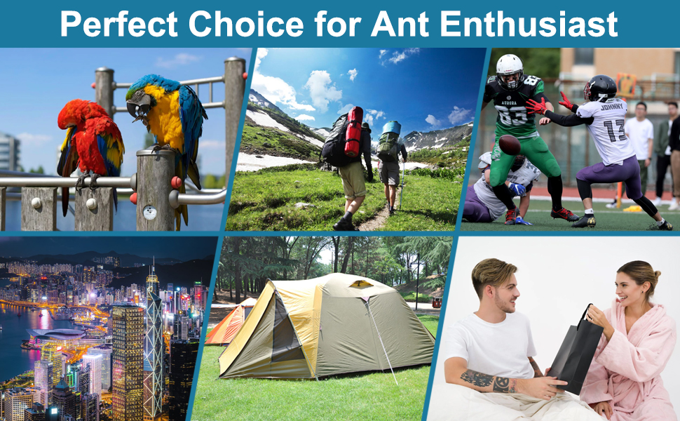 Unlock a New World of Detail &amp;amp;amp; Adventure!