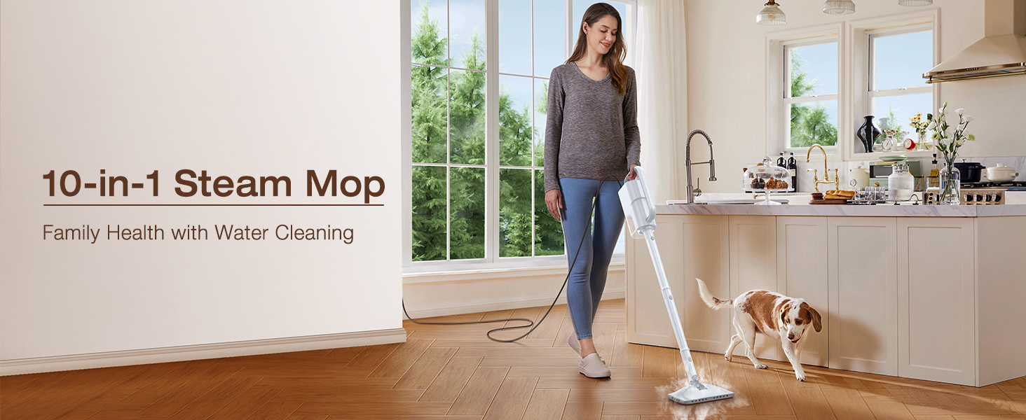 steam mop