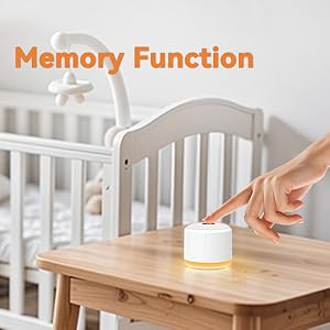 Memory Function