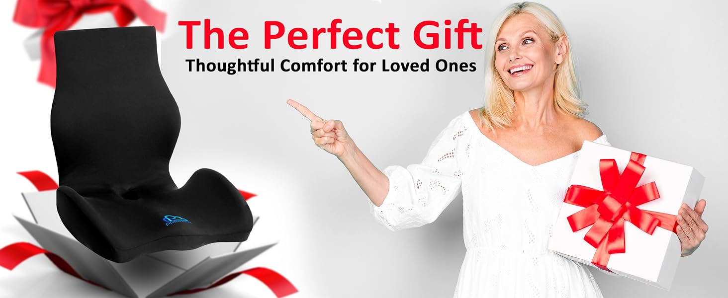 Full back support seat cushion