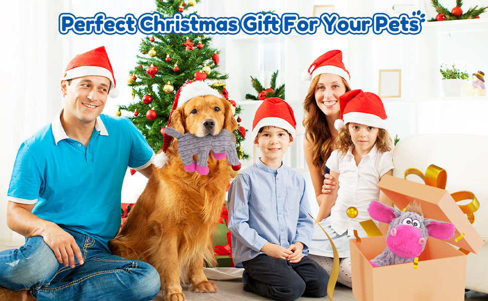dog christmas gifts