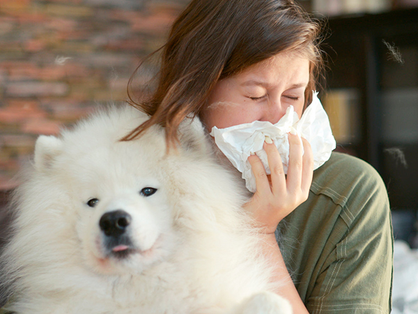 air purifiers for home large room hepa air purifier air purifiers for pets