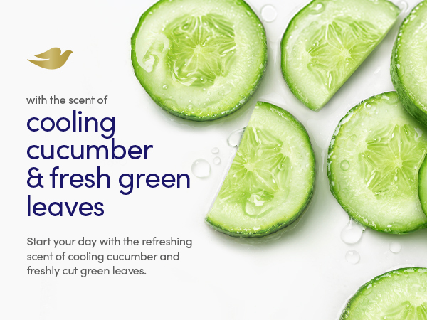 Cucumber and green leaves fragrance message alongside fresh sliced cucumber.