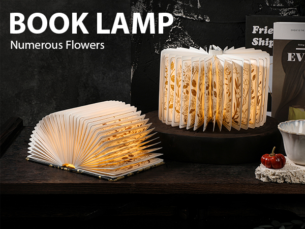Book lamp