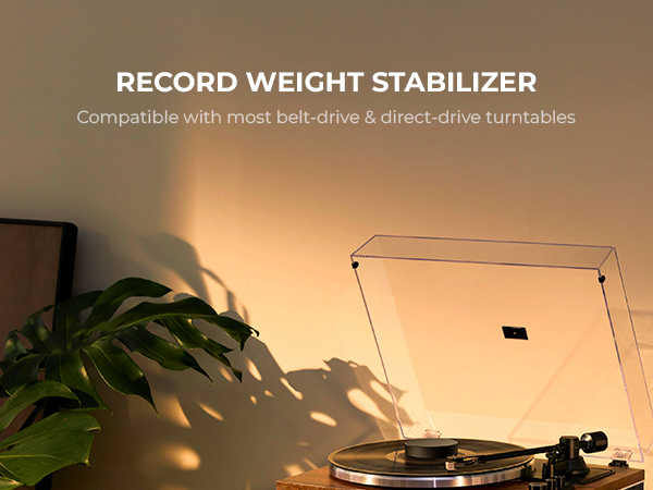 record weight stabilizer