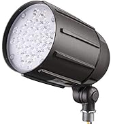 LEONLITE 30W LED Bullet Flood Light, 4000LM 5000K Daylight, 22°Focused Flag Pole Light with Knuck...