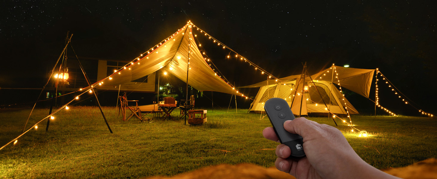 dimmer plug with remote control