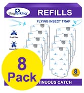 fruit fly trap