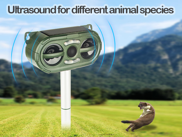 for Garden Yard Farm