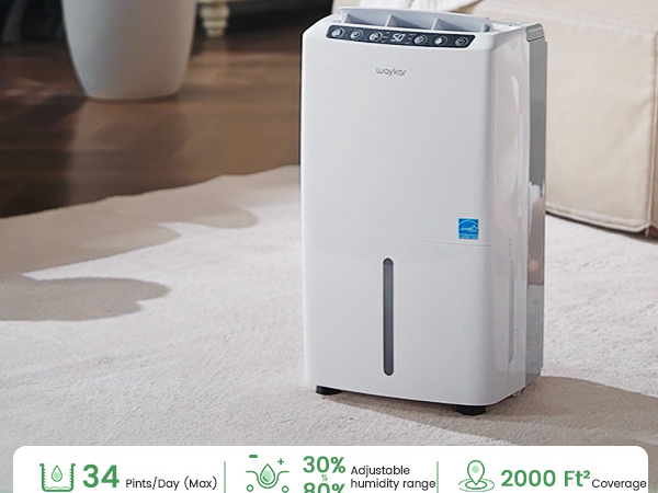 dehumidifiers for home
