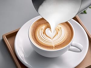 milk heater and frother