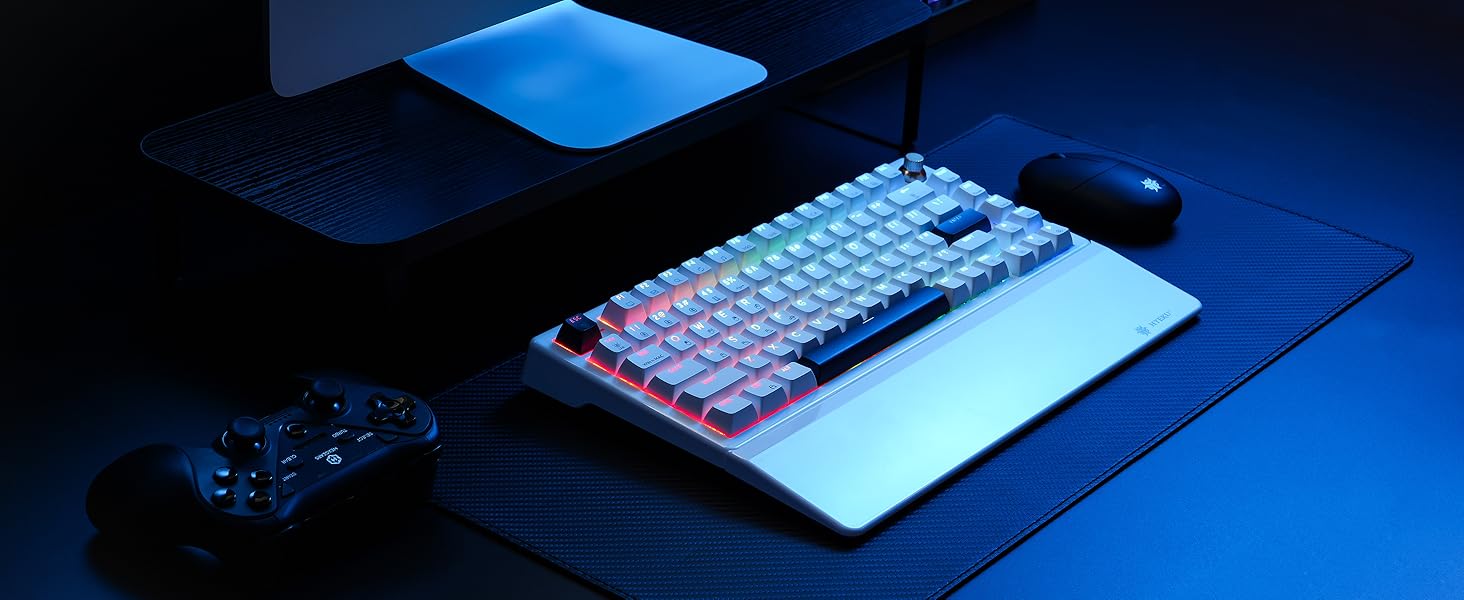Hexgears E2sPro Mechanical Gaming Keyboard with Wrist Rest