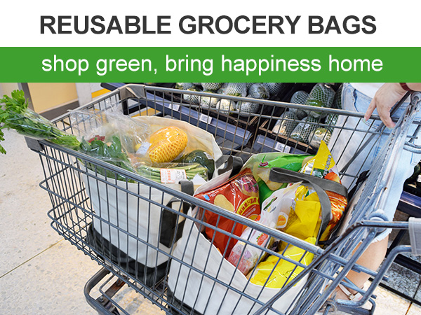 Canvas Reusable Grocery Bags