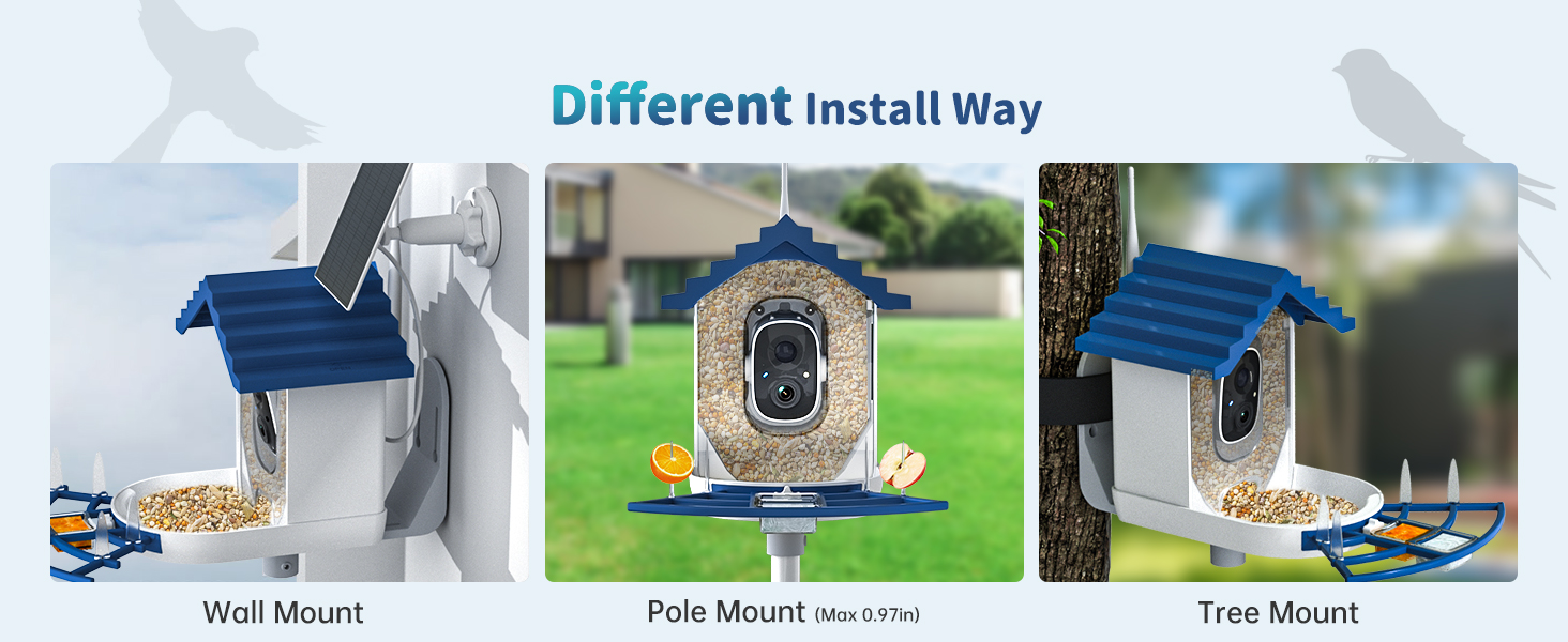 bird feeder camera for solar panel