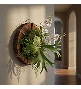 Housoutil Round Staghorn Fern Mounting Board, Slit Wood Wall Hanging Planter Holder, Platycerium ...