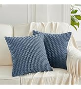 Fancy Homi 2 Packs Dusty Blue Decorative Throw Pillow Covers 18x18 Inch for Couch Bed Sofa, Moder...